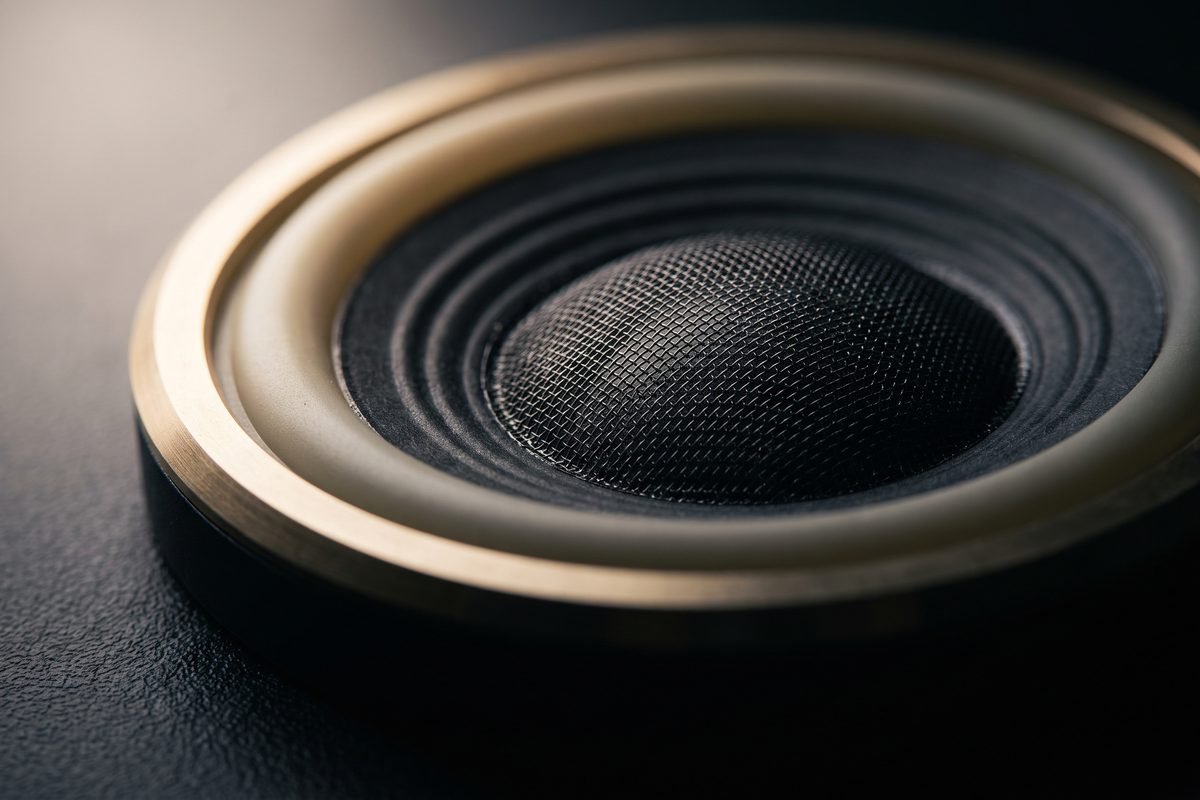 Driver behind the grille, macro detail render